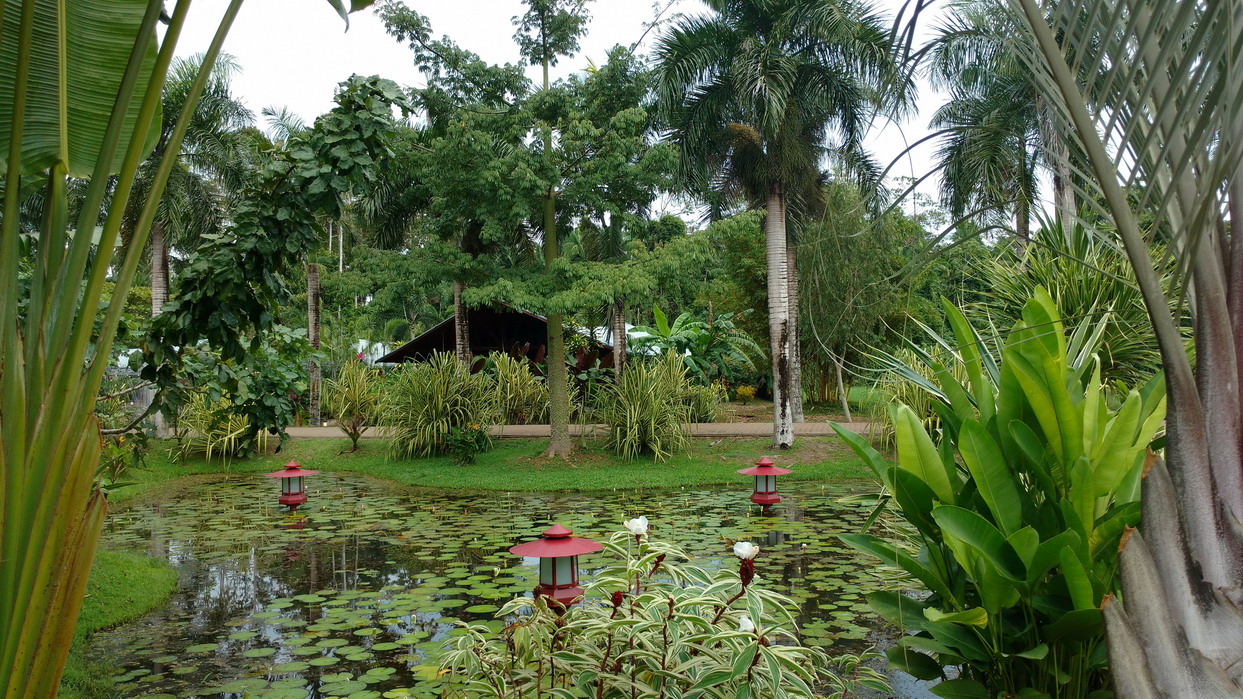 12. Le parc somptueux de la marina