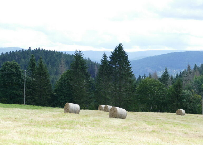 12. Les routes des Hautes-Vosges