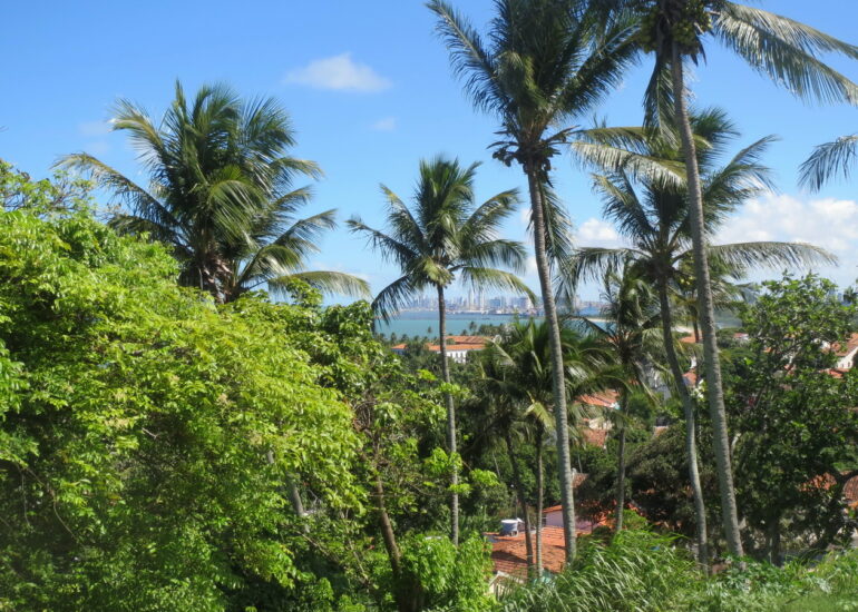 12. Olinda, à l'arrière plan Recife