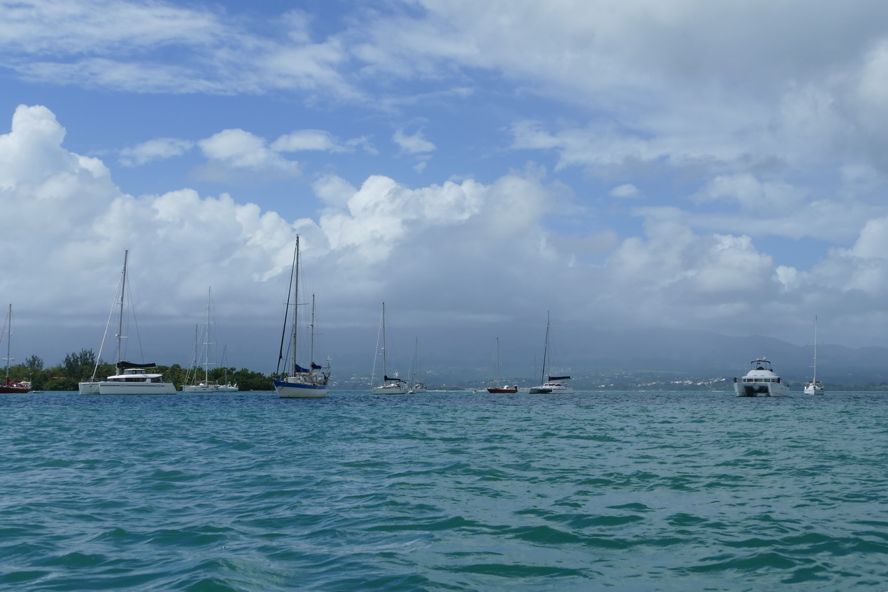 12. Pointe-à-Pitre ; mouillage en face de la marina du Bas-du-Fort