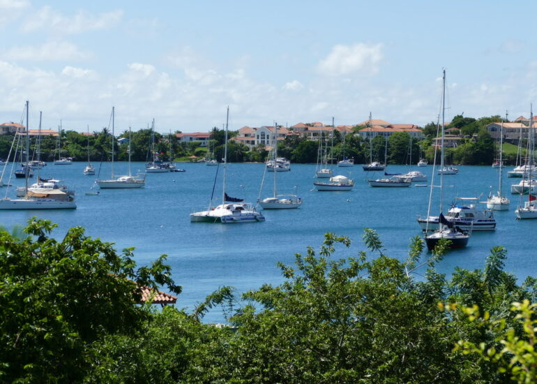 12. Prickly bay