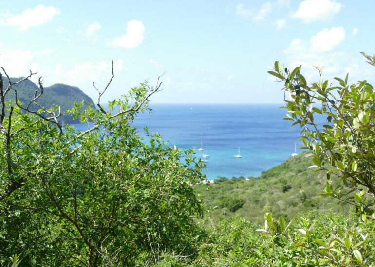 12. Union island, Chatham bay, à l'ouest