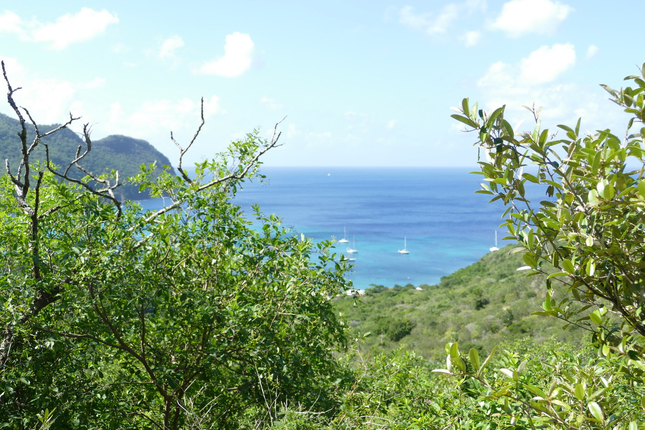 12. Union island, Chatham bay, à l'ouest