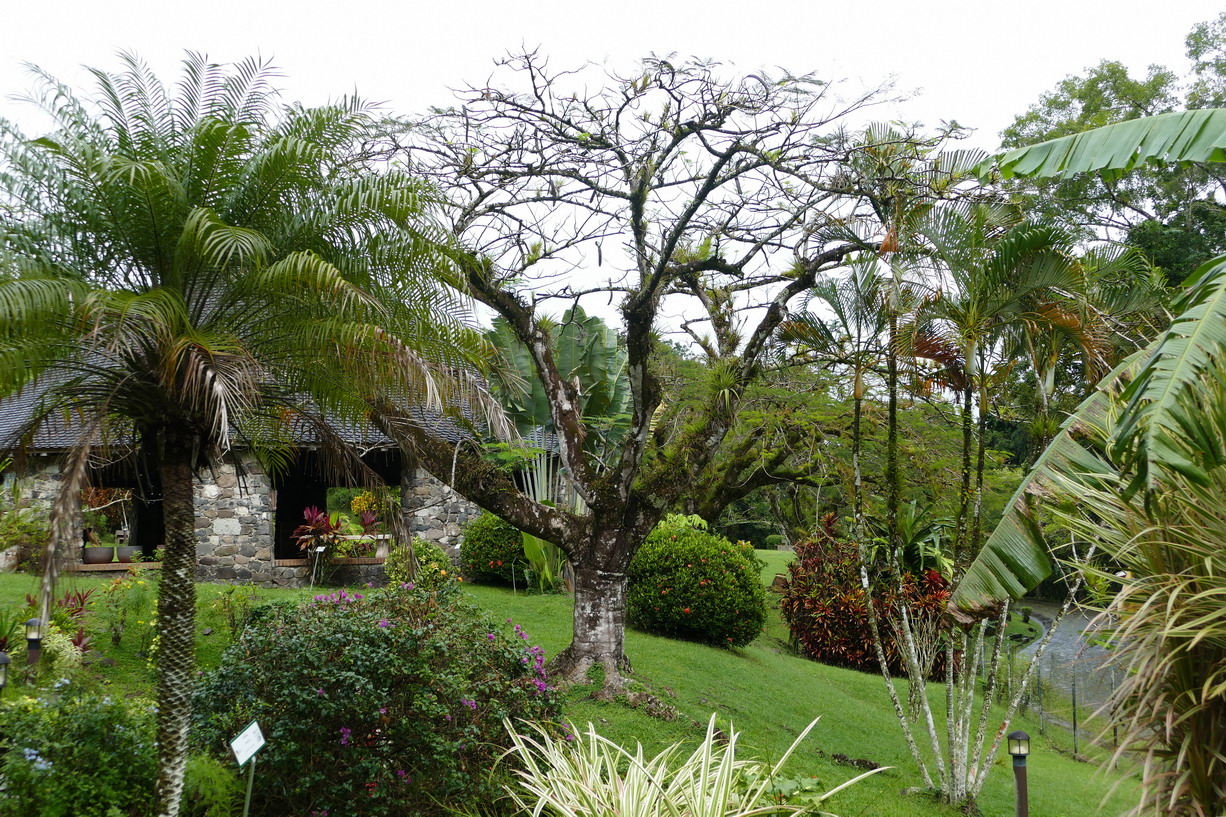 13. La Pagerie, domaine des Tascher