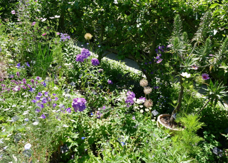 13. Lac Léman, Yvoire, le jardin des 5 sens