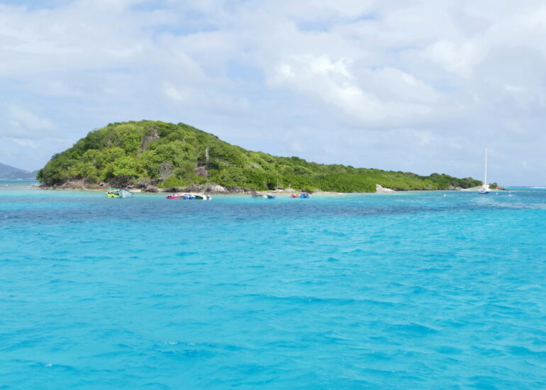 13. Les Tobago cays, Petit Rameau
