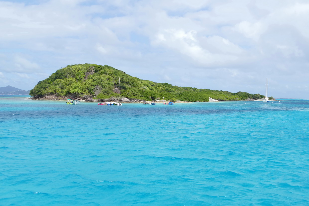 13. Les Tobago cays, Petit Rameau