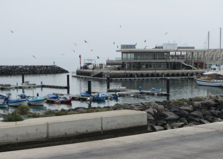 13. Point de vue sur la marina de Tazacorte