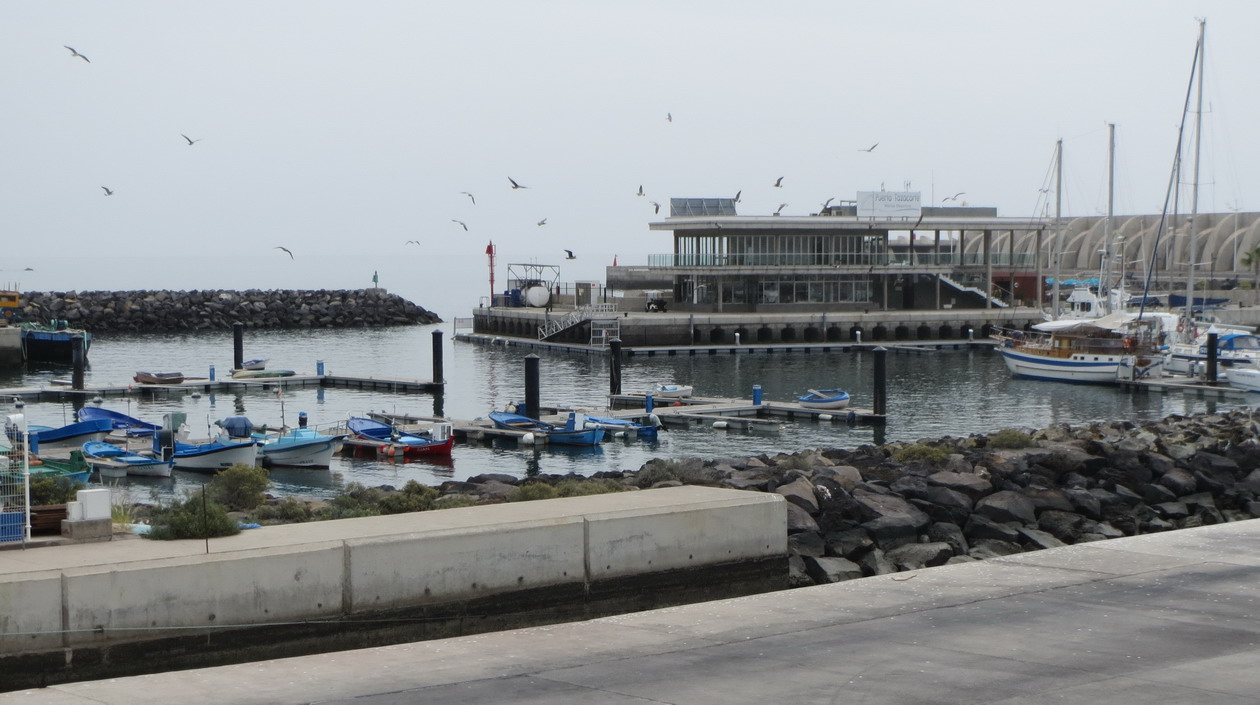 13. Point de vue sur la marina de Tazacorte