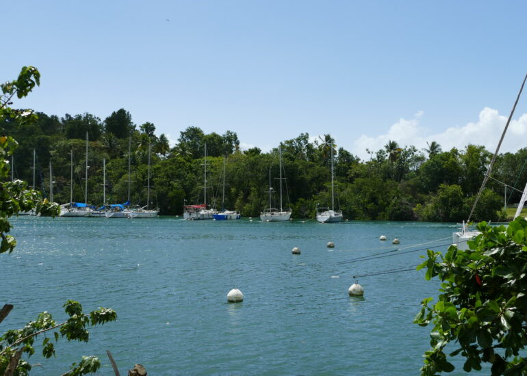 13. Pointe-à-Pitre, la marina du Bas-du-Fort (le Lagon bleu)