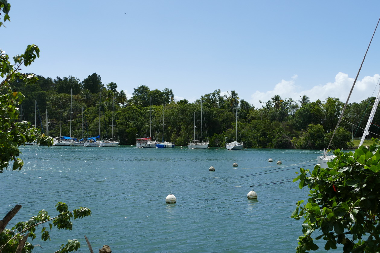 13. Pointe-à-Pitre, la marina du Bas-du-Fort (le Lagon bleu)