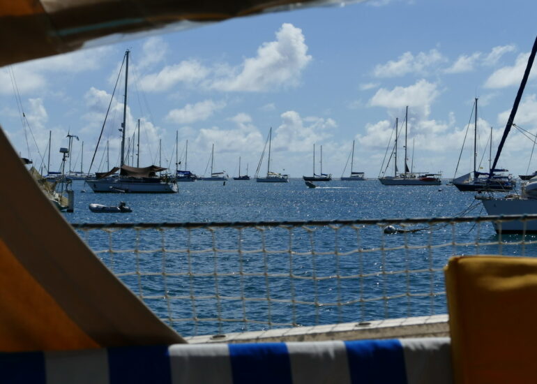 13. Prickly bay