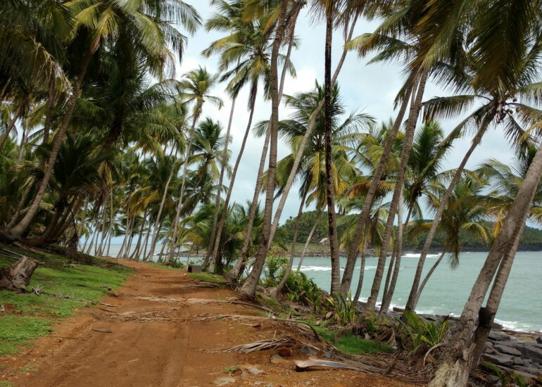 13. Promenade sur l'île Royale
