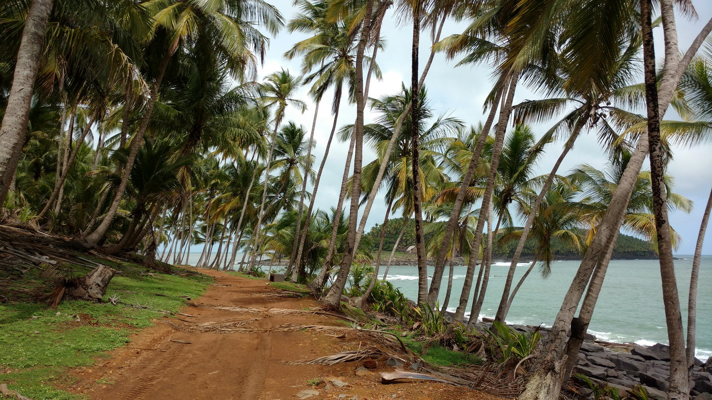 13. Promenade sur l'île Royale