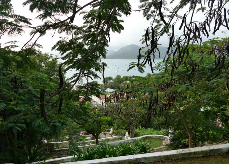 14. La Martinique, le calvaire de Ste Anne ; encore plus haut