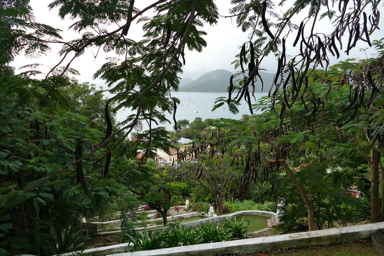 14. La Martinique, le calvaire de Ste Anne ; encore plus haut