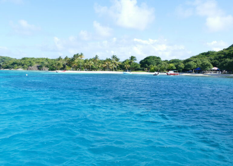 14. Les Tobago cays, la plage et le restaurant de Petit Bateau