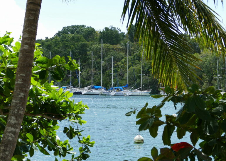 14. Pointe-à-Pitre, la marina du Bas-du-Fort (le Lagon bleu)