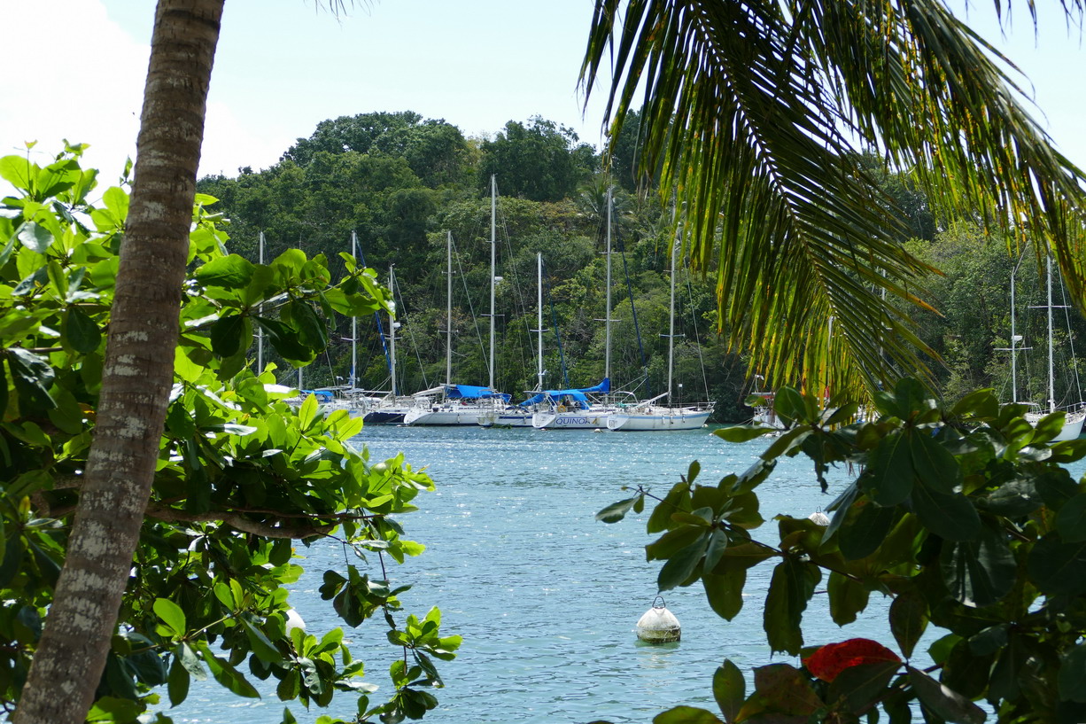 14. Pointe-à-Pitre, la marina du Bas-du-Fort (le Lagon bleu)