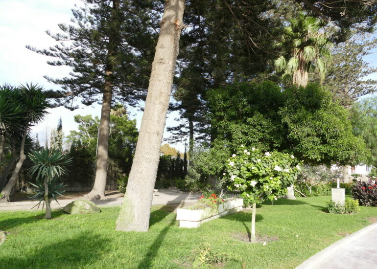 14. Port motril, le bâtiment des autorités portuaires