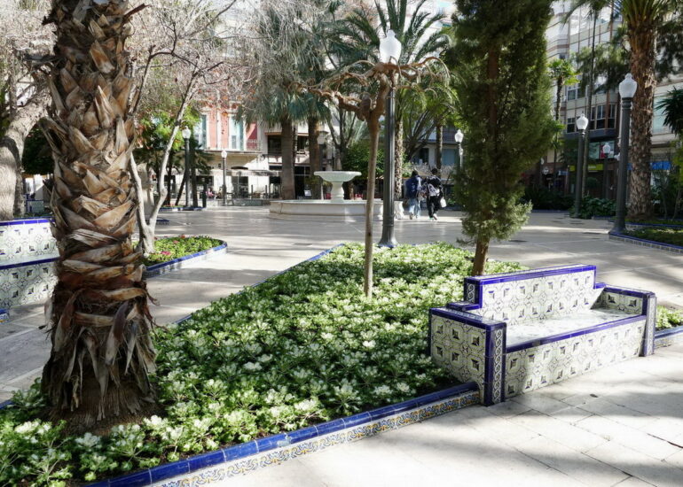 15. Elche - le centre-ville