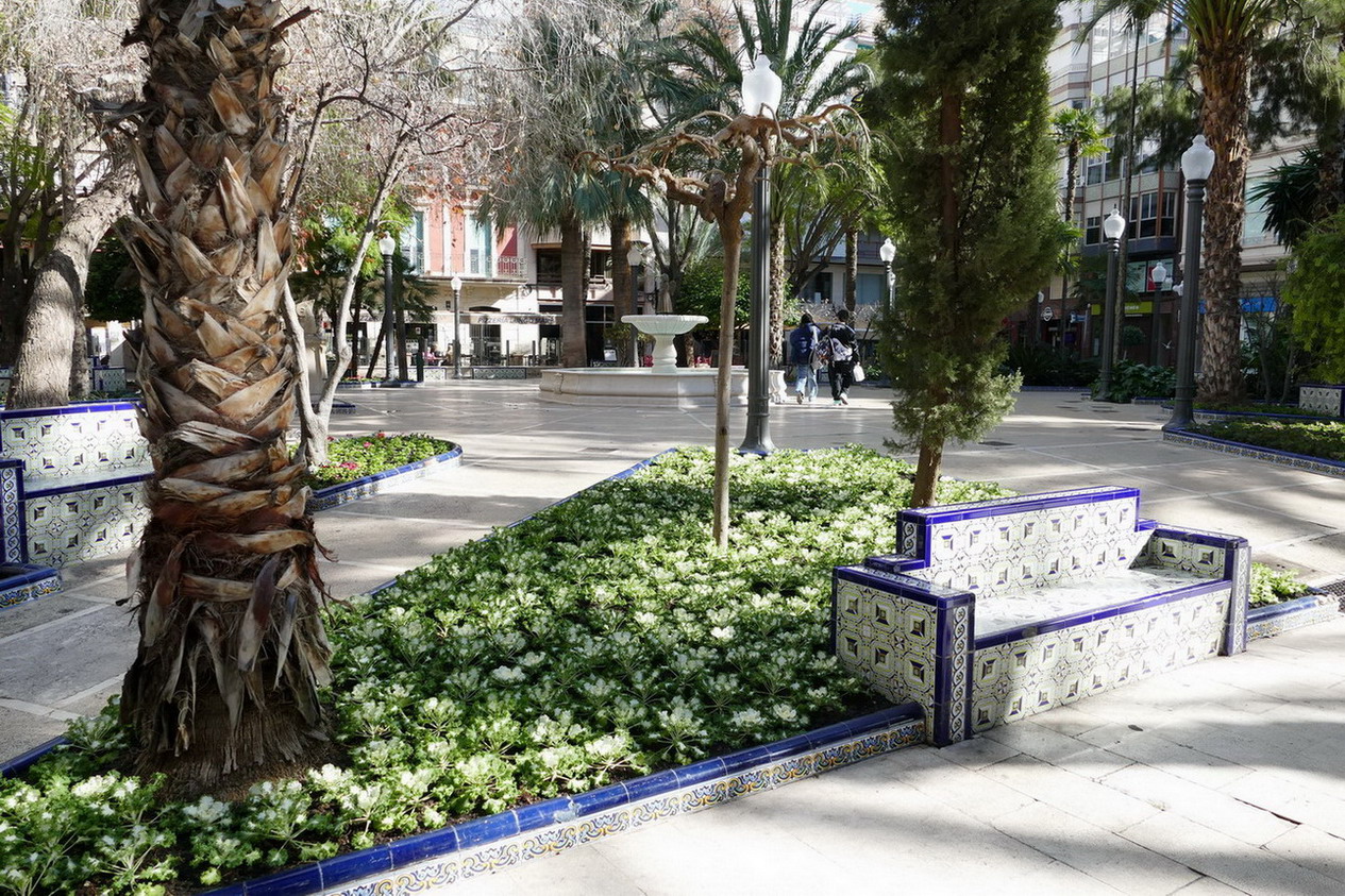 15. Elche - le centre-ville