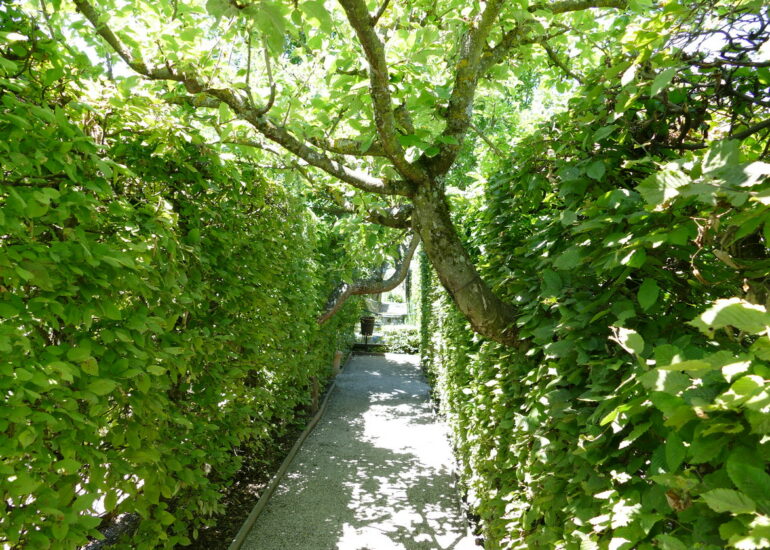 15. Lac Léman, Yvoire, le jardin des 5 sens