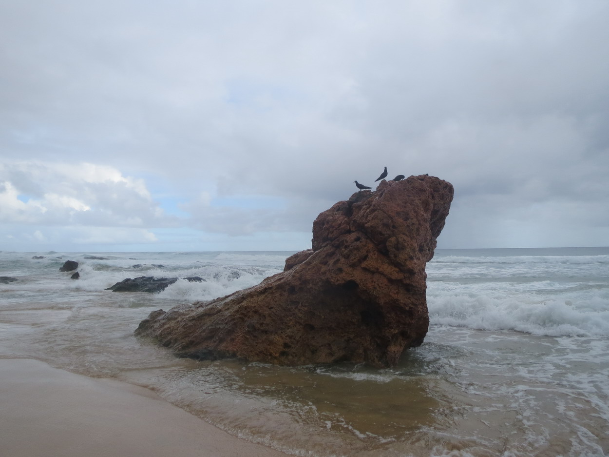 15. Praia de Conceiçao sous la pluie