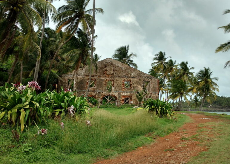 15. Promenade sur l'île Royale
