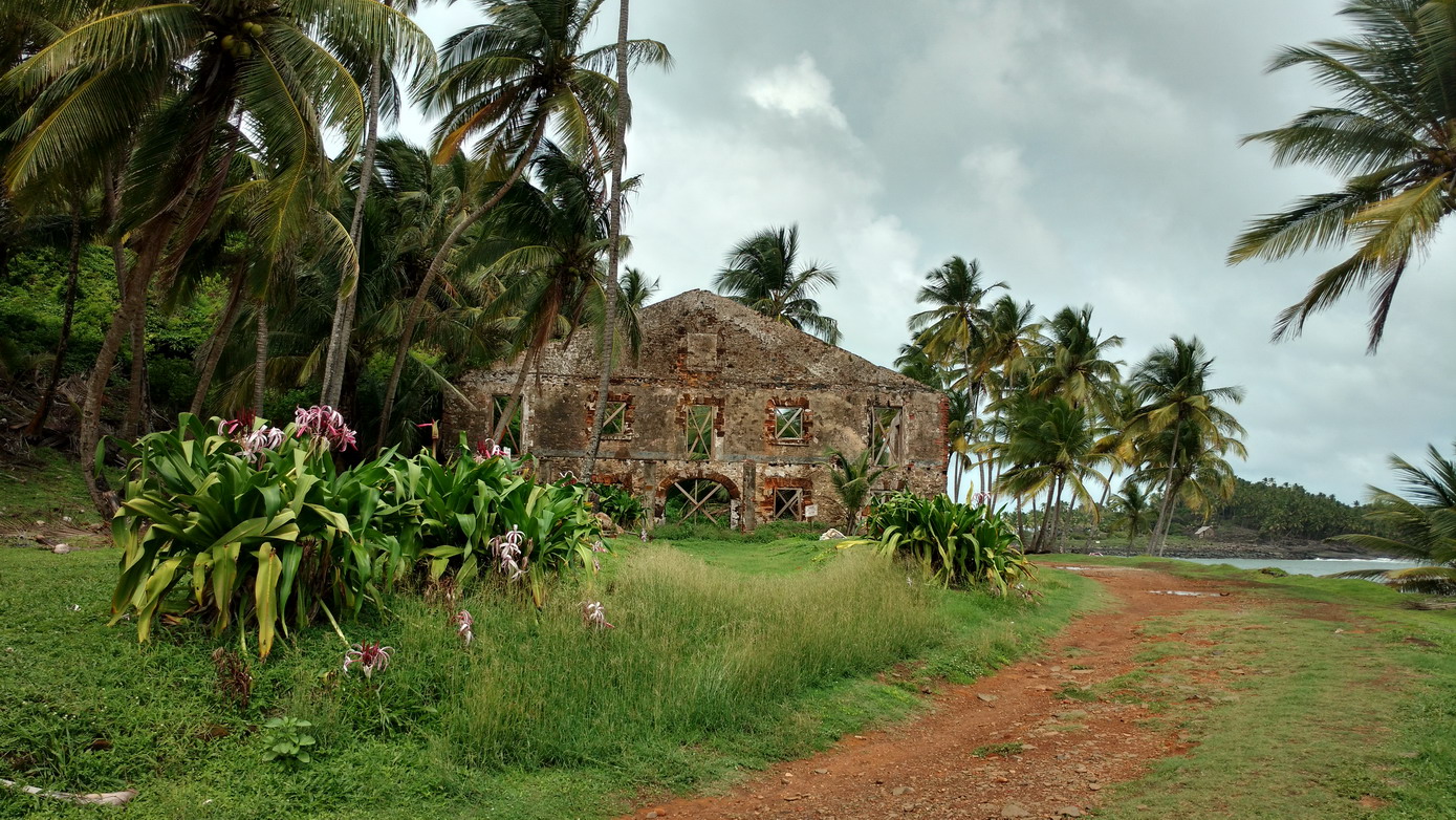 15. Promenade sur l'île Royale