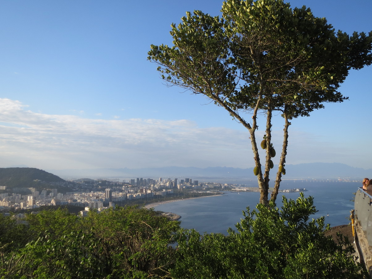 16. Du morro d'Urca vue sur Rio et la baie de Guanabara