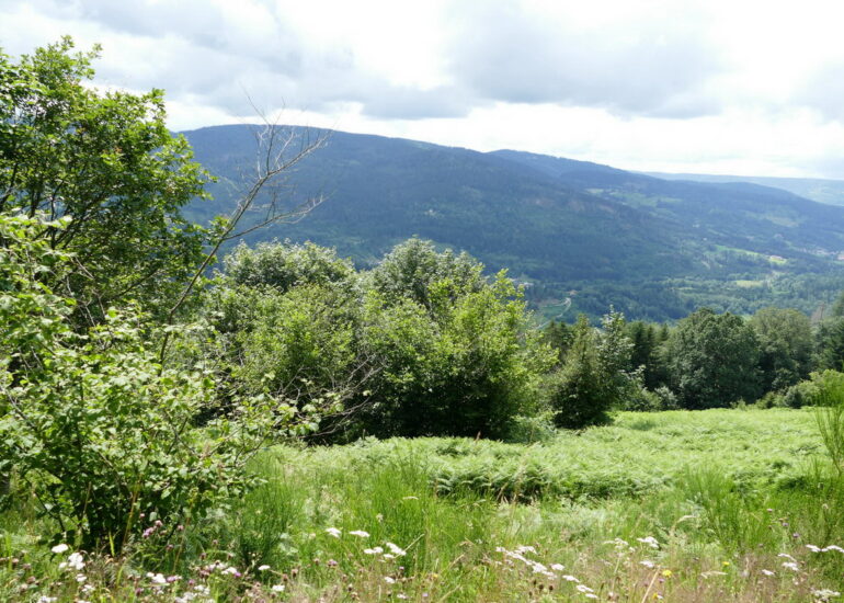 16. Les routes des Hautes-Vosges