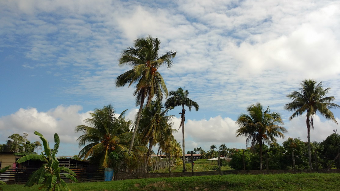 16. Sur la route de Paramaribo