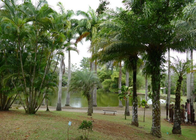 17. L'habitation Clément