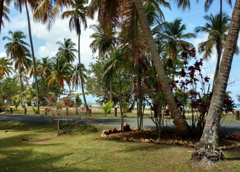 17. Pigeon point heritage park