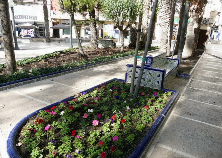 18. Elche - le centre-ville