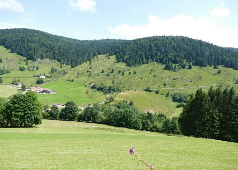 18. Les routes des Hautes-Vosges