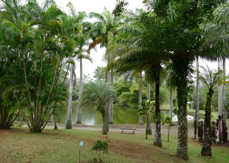 18. L'habitation Clément
