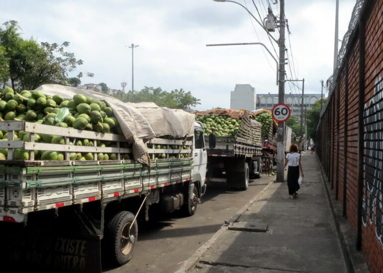 19. SdB, des kilomètres de camions chargés de noix de coco, jus couramment servi au Brésil