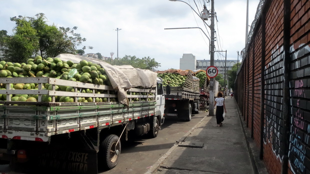 19. SdB, des kilomètres de camions chargés de noix de coco, jus couramment servi au Brésil