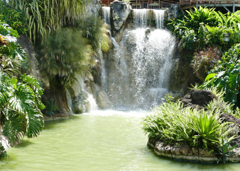 19. La Guadeloupe ; Deshaies, le jardin botanique
