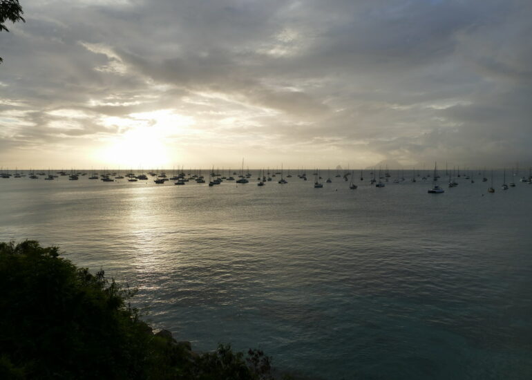 19. La Martinique, le mouillage de Ste Anne ; il y a du monde !