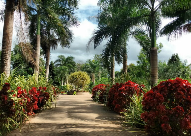 19. Le parc somptueux de la marina