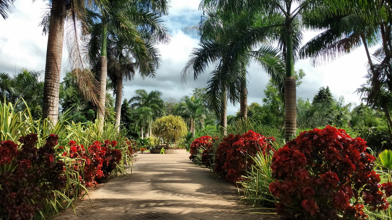 19. Le parc somptueux de la marina