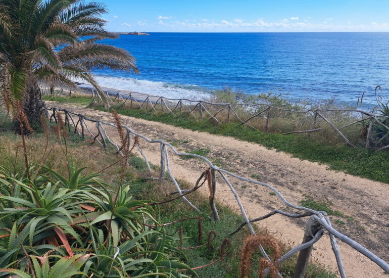 19. Porto Santo