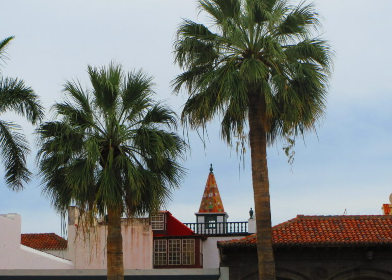 19. Santa Cruz de La Palma