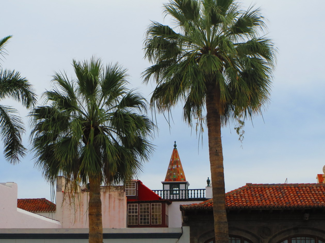 19. Santa Cruz de La Palma