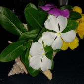 19. Union island, Chatam bay, les fleurs du restaurant