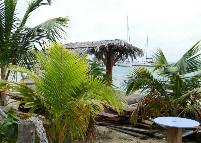 19. Union island, Clifton harbour