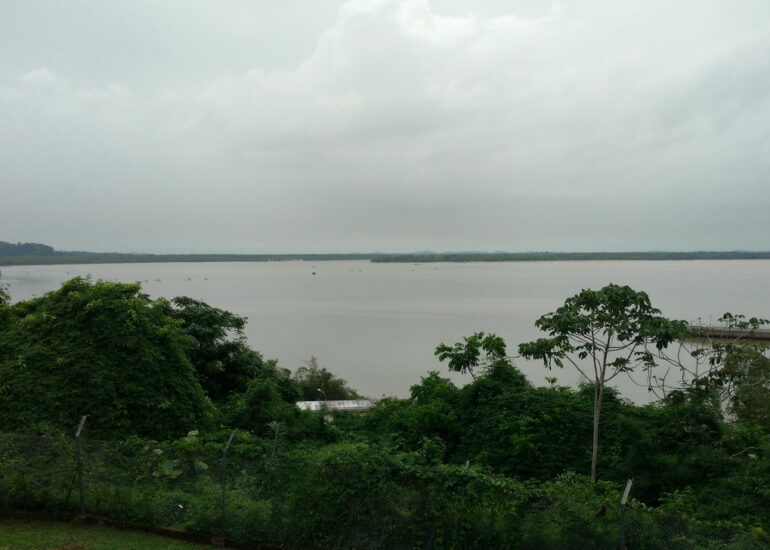 20. Cayenne, du fort de Montébo